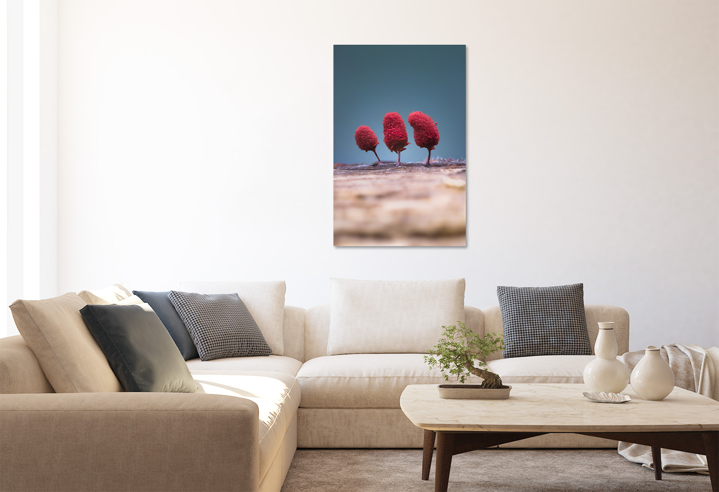 3 plumeaux – Image 2