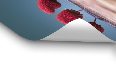 3 plumeaux – Image 3